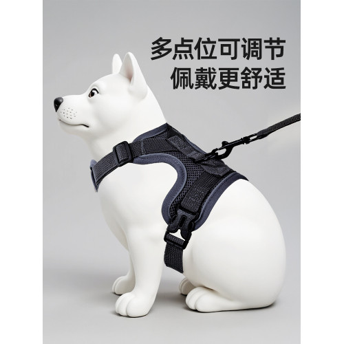 採購産品小狗狗皮帶，可調節的抗分離狗挽具，小型和中型狗泰迪比