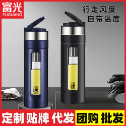 雙層玻璃杯茶水分離泡茶杯隔熱過濾杯子可攜式提環耐熱茶杯水杯