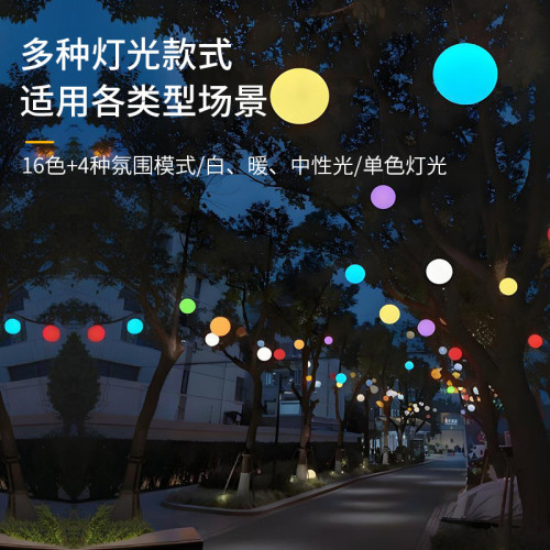 輕奢服裝店商場酒吧餐廳網紅圓球吊燈室內櫥窗創意球形藝術吊燈 輕奢服裝店商場酒吧餐廳網紅圓球吊燈室內櫥窗創意球形藝術吊燈