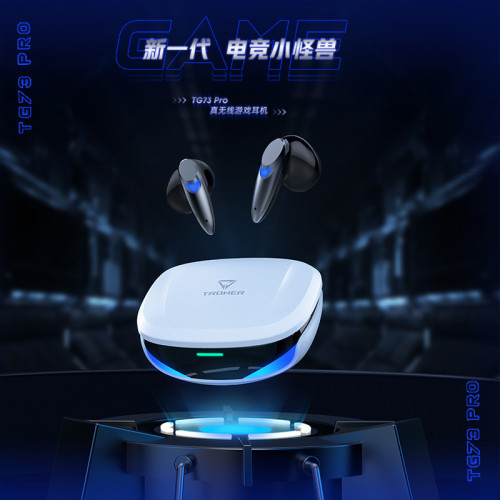 蘭士頓無線藍牙耳機TG73Pro雙耳運動降噪無線入耳式電競遊戯耳機 蘭士頓無線藍牙耳機TG73Pro雙耳運動降噪無線入耳式電競遊戯耳機