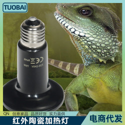 美規遠紅外爬寵紅外陶瓷加熱燈110v爬蟲燈保溫燈蜥蜴爬寵燈保暖燈
