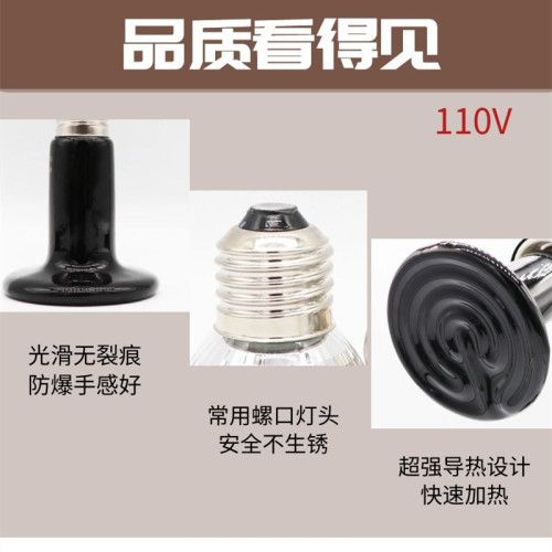 美規遠紅外爬寵紅外陶瓷加熱燈110v爬蟲燈保溫燈蜥蜴爬寵燈保暖燈 美規遠紅外爬寵紅外陶瓷加熱燈110v爬蟲燈保溫燈蜥蜴爬寵燈保暖燈