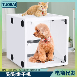 寵物烘乾箱家用吹水機吹風箱貓咪狗狗洗澡烘乾機吹風機吹乾毛烘乾
