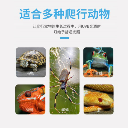 美規110V日規烏龜全光譜倉鼠爬寵陸龜蜥蜴太陽燈 UVA全光譜保溫燈 美規110V日規烏龜全光譜倉鼠爬寵陸龜蜥蜴太陽燈 UVA全光譜保溫燈