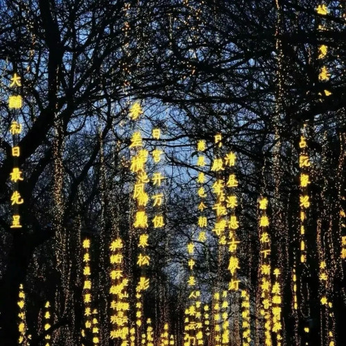 霓虹燈防水詩詞條幅公園街道發光字吊串樹枝亮化景觀裝飾夜景戶外 霓虹燈防水詩詞條幅公園街道發光字吊串樹枝亮化景觀裝飾夜景戶外