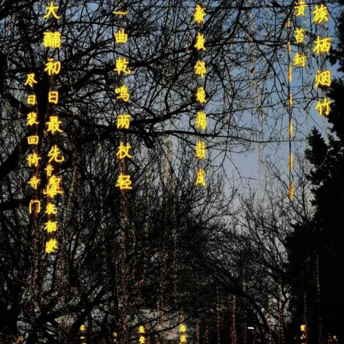 霓虹燈防水詩詞條幅公園街道發光字吊串樹枝亮化景觀裝飾夜景戶外 霓虹燈防水詩詞條幅公園街道發光字吊串樹枝亮化景觀裝飾夜景戶外