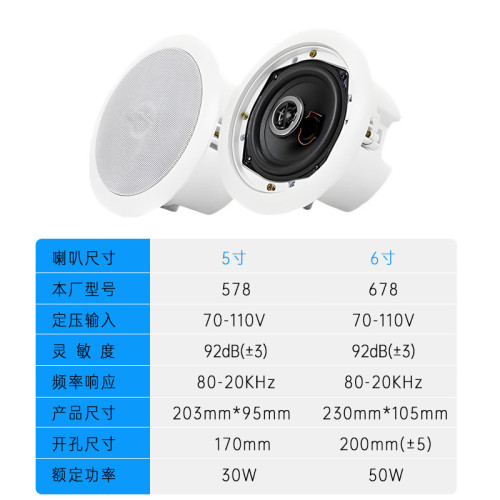 定壓吸頂喇叭 30W公共廣播同軸帶後蓋後罩音箱 定壓吸頂喇叭 定壓吸頂喇叭 30W公共廣播同軸帶後蓋後罩音箱 定壓吸頂喇叭
