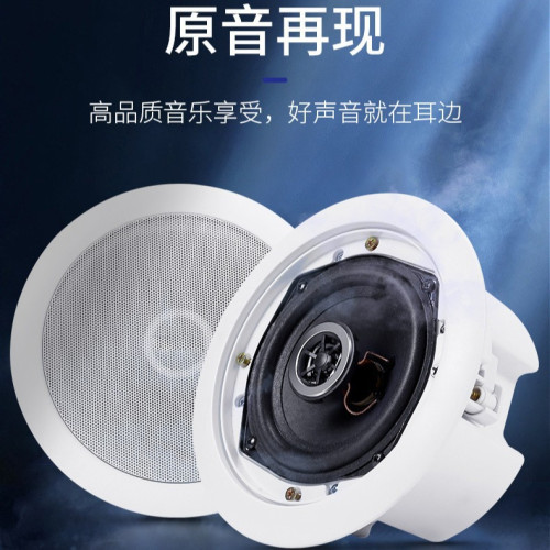 定壓吸頂喇叭 30W公共廣播同軸帶後蓋後罩音箱 定壓吸頂喇叭 定壓吸頂喇叭 30W公共廣播同軸帶後蓋後罩音箱 定壓吸頂喇叭