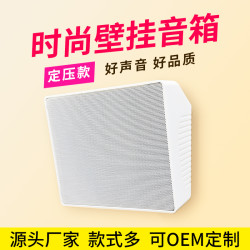 壁掛音箱 惠威款定壓壁掛音箱 校園公共廣播背景音樂壁掛喇叭