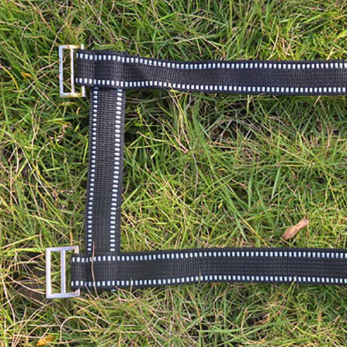 高爾夫動作糾正器曲臂警覺器揮桿練習器糾正帶曲臂警覺器golf訓練