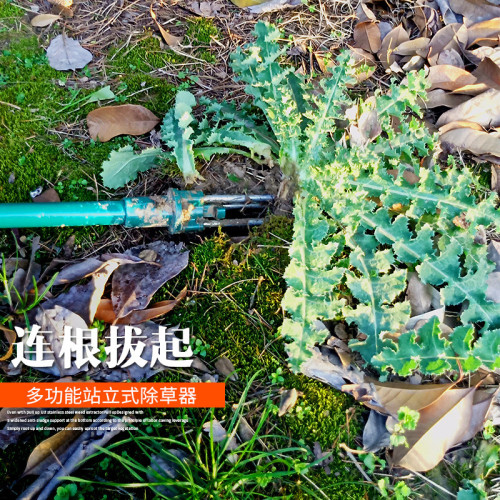 園藝拔器不鏽鋼挖根器挖根器松土園林花藝起根器移苗起苗手動除草 園藝拔器不鏽鋼挖根器挖根器松土園林花藝起根器移苗起苗手動除草