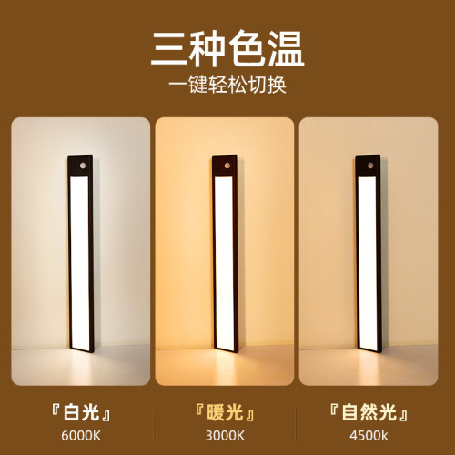 樓道走廊人體感應燈手掃感應衣櫃櫥櫃燈玄關厠所充電樓梯光控起夜 樓道走廊人體感應燈手掃感應衣櫃櫥櫃燈玄關厠所充電樓梯光控起夜