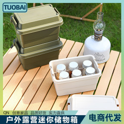 戶外露營迷你儲物箱桌面調味瓶罐收納旅行收納箱可攜式雜物收納箱