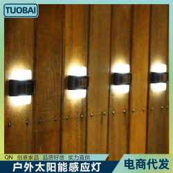 太陽能感應燈戶外防水庭院景觀上下髮氛圍燈別墅裝飾燈戶外防水燈