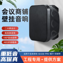 大功率壁掛音箱40W/60W 商場培訓教學會議用壁掛音箱 壁掛音響