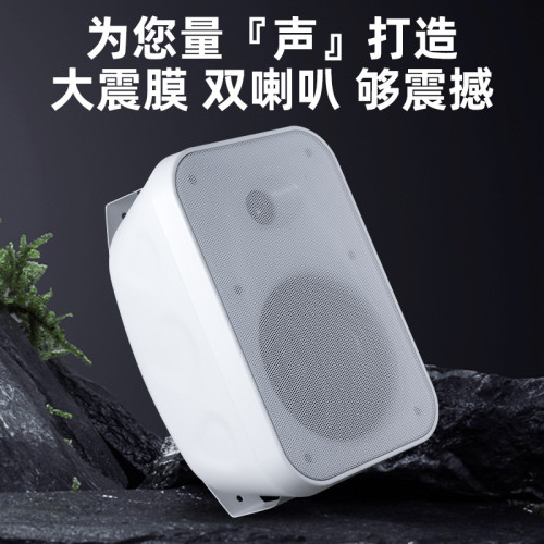 大功率壁掛音箱40W/60W 商場培訓教學會議用壁掛音箱 壁掛音響 大功率壁掛音箱40W/60W 商場培訓教學會議用壁掛音箱 壁掛音響