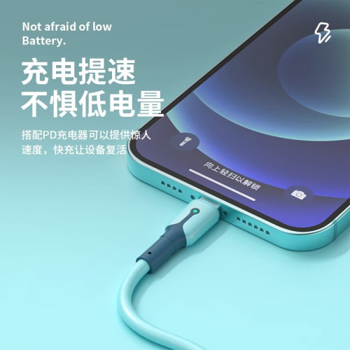 【PD快充套裝】適用於蘋果iPhone14閃充13xs帶燈充電線Lightning