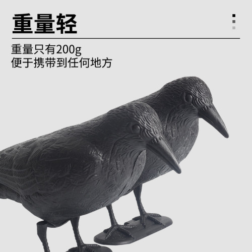 仿生烏鴉誘靶仿真誘導烏鴉靶子原野狩獵仿真鴿子箭靶戶外打獵娛樂 仿生烏鴉誘靶仿真誘導烏鴉靶子原野狩獵仿真鴿子箭靶戶外打獵娛樂
