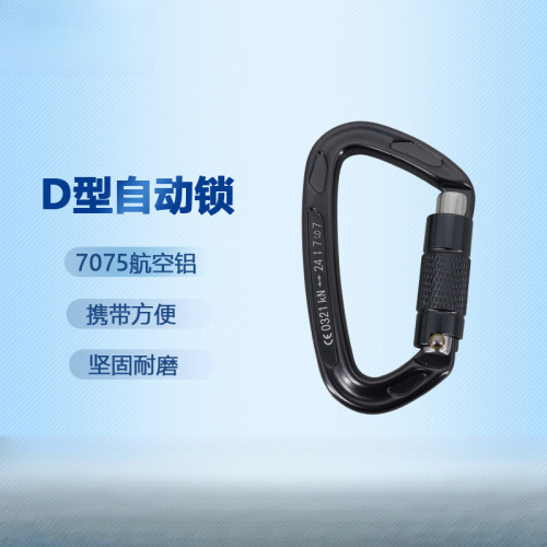 自動快掛鎖攀岩D鎖徒步後背包 吊床秋千戶外登山保護鎖攀岩探洞裝備