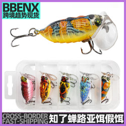 微物知了蟬路亞餌假餌淡海水浮水仿生蟬浮水崑蟲假餌崑蟲魚餌盒裝