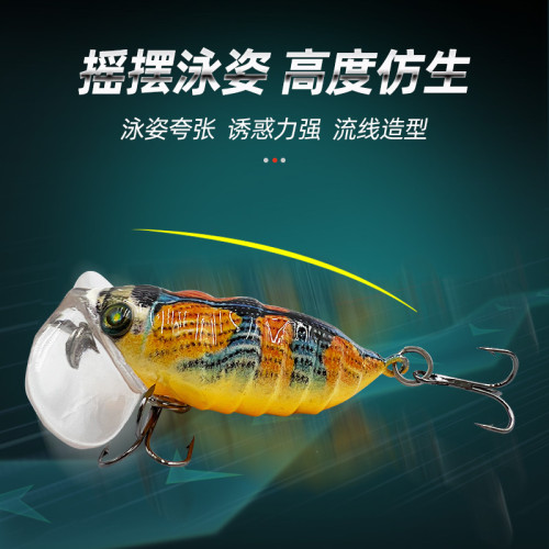 微物知了蟬路亞餌假餌淡海水浮水仿生蟬浮水崑蟲假餌崑蟲魚餌盒裝 微物知了蟬路亞餌假餌淡海水浮水仿生蟬浮水崑蟲假餌崑蟲魚餌盒裝