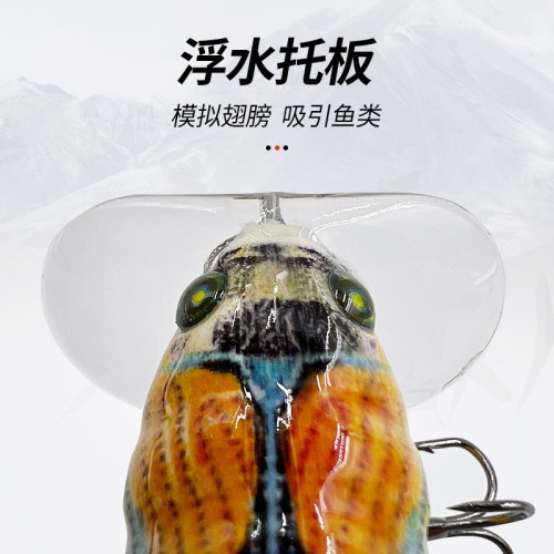 微物知了蟬路亞餌假餌淡海水浮水仿生蟬浮水崑蟲假餌崑蟲魚餌盒裝 微物知了蟬路亞餌假餌淡海水浮水仿生蟬浮水崑蟲假餌崑蟲魚餌盒裝