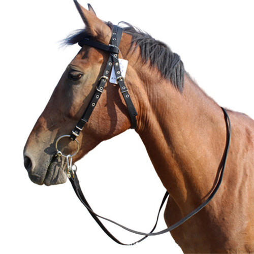 馬籠頭繩子騎馬水勒韁繩大小矮馬韁繩馬騎馬韁繩馬術韁繩韁繩馬術 馬籠頭繩子騎馬水勒韁繩大小矮馬韁繩馬騎馬韁繩馬術韁繩韁繩馬術
