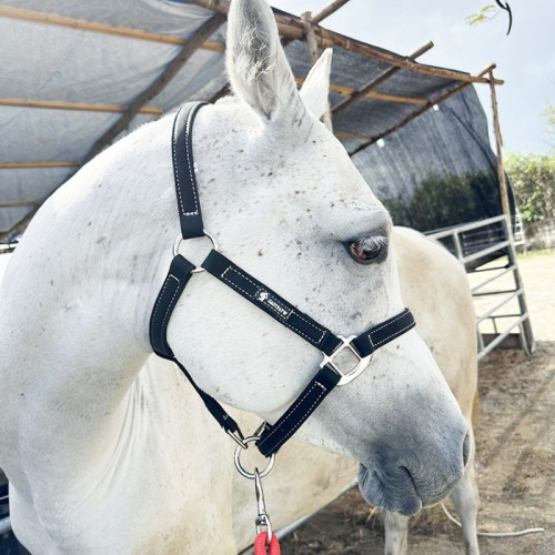 馬籠頭套繩馬術超纖馬籠套繩大小矮馬韁繩速賽馬籠頭比賽裝備馬術 馬籠頭套繩馬術超纖馬籠套繩大小矮馬韁繩速賽馬籠頭比賽裝備馬術