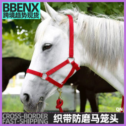 織帶防磨馬籠頭牽馬繩馬龍套馬術用品戶外騎馬運動牽馬籠頭帶