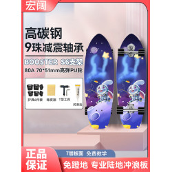 雷尼斯S6陸地沖浪板路沖板滑板初學者滑雪slide陸沖代步yow專業板
