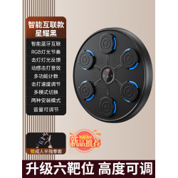 新款家用健身智能訓練音樂拳擊牆靶訓練器藍牙音樂拳擊器