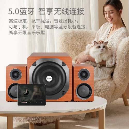 先科Q3電腦音響桌上型家用桌面藍牙音箱HiFi超重低音砲客廳k歌電視 先科Q3電腦音響桌上型家用桌面藍牙音箱HiFi超重低音砲客廳k歌電視