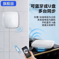 室內壁掛藍牙音響商用無線餐廳奶茶店休閒會所店鋪專用3D環繞音效