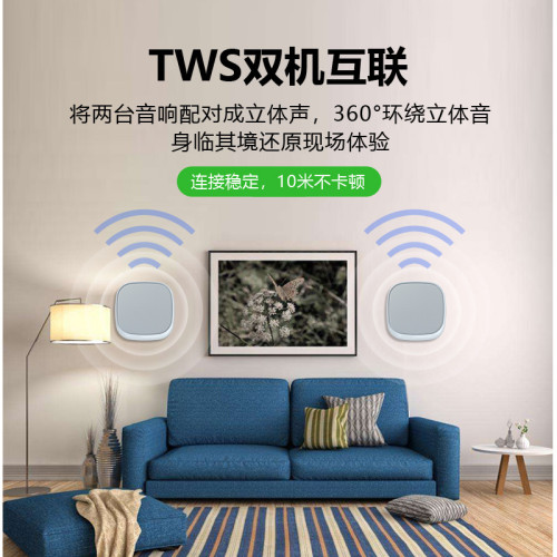 壁掛藍牙音響店鋪專用室內無線家用環繞飯廳商用掛壁音箱商鋪喇叭 壁掛藍牙音響店鋪專用室內無線家用環繞飯廳商用掛壁音箱商鋪喇叭