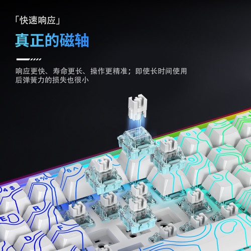 龍衛士68RX無線三模8K磁軸機械鍵盤電競遊戯FPS通用RT0.01帶燈箱