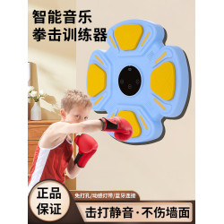 智能音樂拳擊機家用成人牆靶兒童打擊反應室內電子靶散打訓練器材