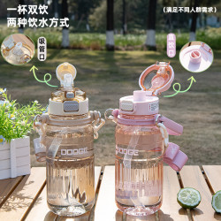 大容量道奇路途風光雙飲塑膠杯夏天吸管杯子女新款2024塑膠杯學生