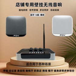 店鋪專用藍牙音響多台同步無線壁掛音響餐廳會議室無線掛牆音箱