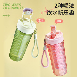 億本雅致花茶塑膠杯果汁杯辦公室隨手吸管杯夏季提繩水杯ＬＯＧＯ