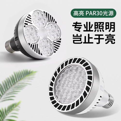 par30單燈led軌道射燈泡燈聲控超市生鮮燈超亮節能E27螺口光源 par30單燈led軌道射燈泡燈聲控超市生鮮燈超亮節能E27螺口光源