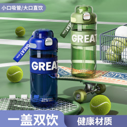 塑膠杯簡約彈蓋吸管杯學生運動吸管杯少女心女生隨手杯雙飲杯