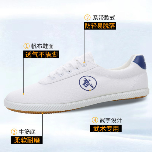 武術鞋學校田徑體考訓練運動廣場健身鞋輕便練功鞋跑步鞋太極運動 武術鞋學校田徑體考訓練運動廣場健身鞋輕便練功鞋跑步鞋太極運動