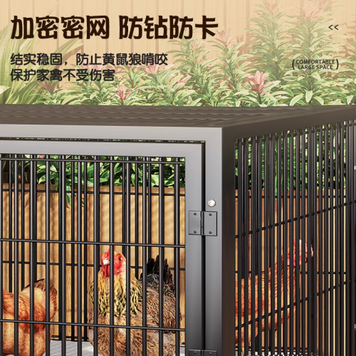 雞籠子家用室外大號方管防雨室內農村自動清糞雞鴨鵞養殖籠鴿子籠 雞籠子家用室外大號方管防雨室內農村自動清糞雞鴨鵞養殖籠鴿子籠