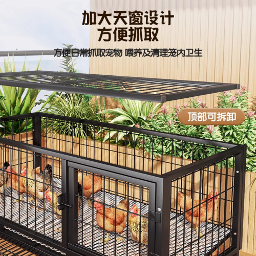 雞籠子家用室外大號方管防雨室內農村自動清糞雞鴨鵞養殖籠鴿子籠 雞籠子家用室外大號方管防雨室內農村自動清糞雞鴨鵞養殖籠鴿子籠