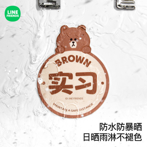 徠本實習磁吸車貼女司機新手上路汽車裝飾貼紙實習期標志貼遮劃痕