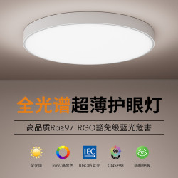 圓形廚房衛生間入戶進門玄關走廊過道陽台照明燈小尺寸吸頂燈