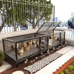 戶外雞籠蘆丁雞飼養箱捕鴿神器鴿子籠小雞鴨子專用室外自動收集蛋