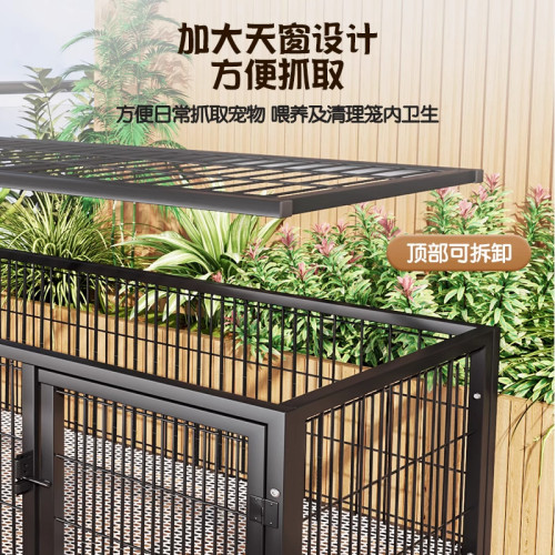 戶外雞籠蘆丁雞飼養箱捕鴿神器鴿子籠小雞鴨子專用室外自動收集蛋 戶外雞籠蘆丁雞飼養箱捕鴿神器鴿子籠小雞鴨子專用室外自動收集蛋