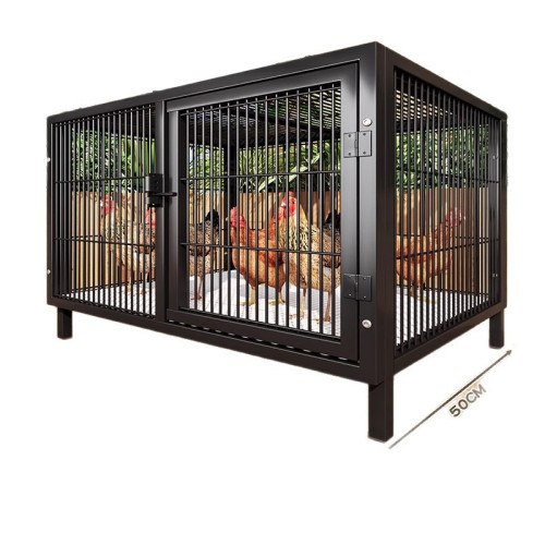 戶外雞籠蘆丁雞飼養箱捕鴿神器鴿子籠小雞鴨子專用室外自動收集蛋 戶外雞籠蘆丁雞飼養箱捕鴿神器鴿子籠小雞鴨子專用室外自動收集蛋