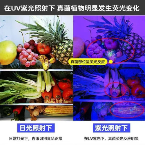 紫光燈鑒定專用驗鈔365nm可充電鑒別翡翠菸酒手電筒紫外線熒光筆